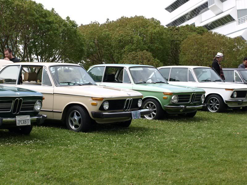 P5157476.jpg