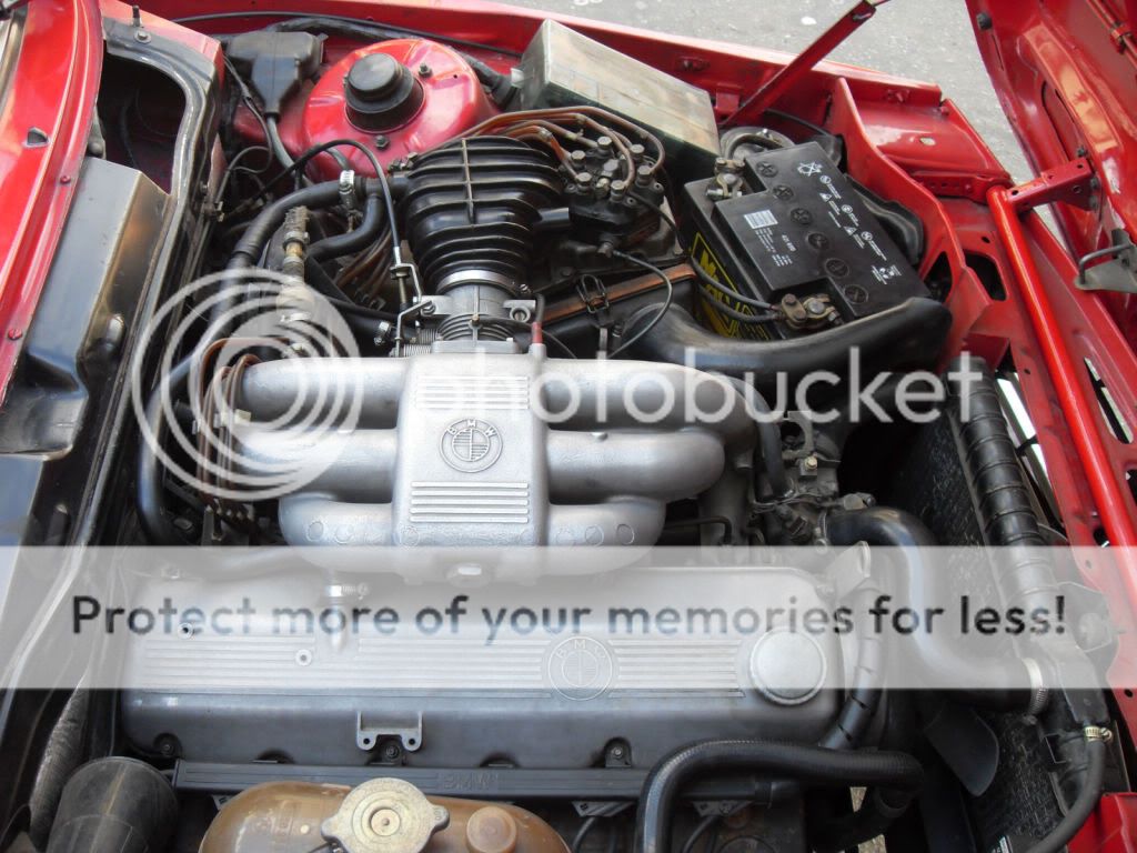 SDC10889.jpg