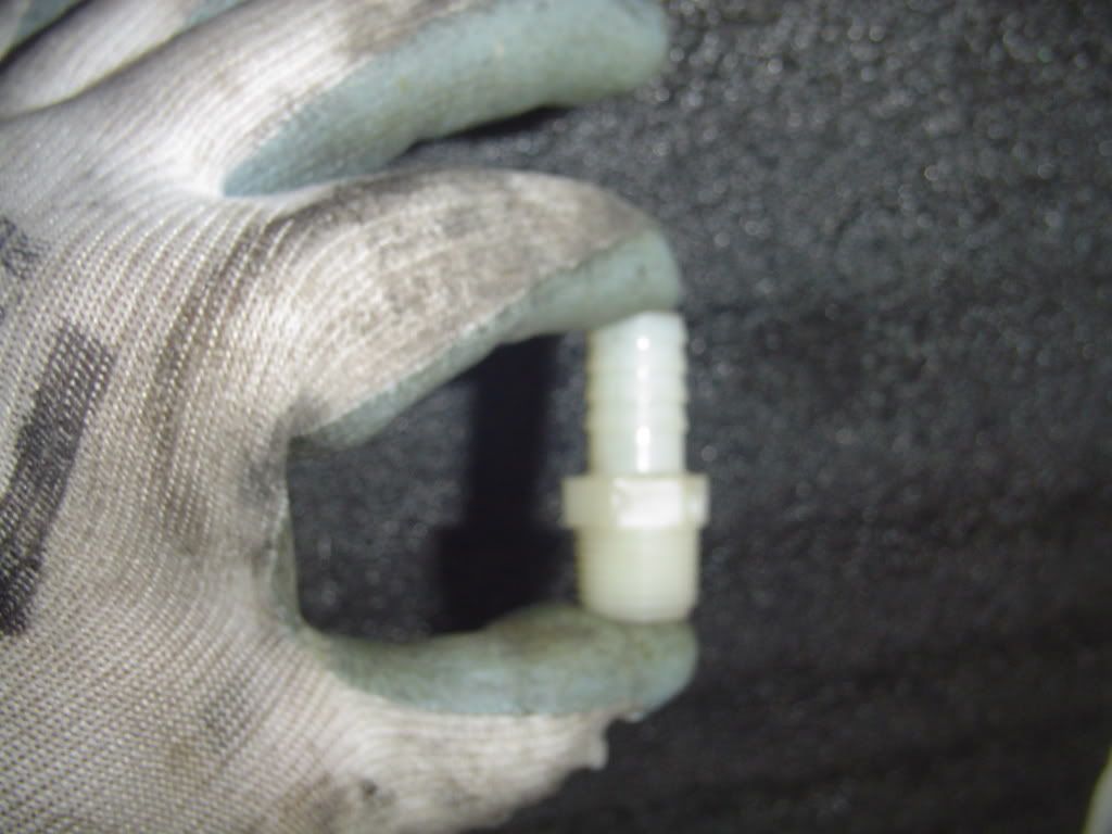 DSC00020.jpg