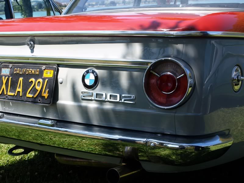P5157603.jpg