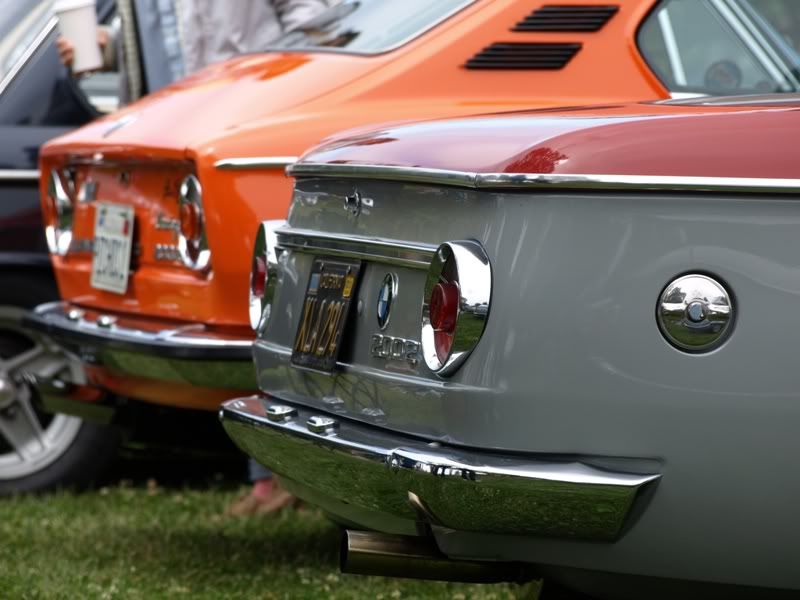 P5157469.jpg