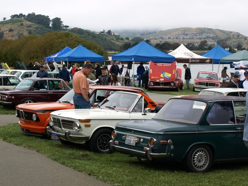 P5157374.jpg