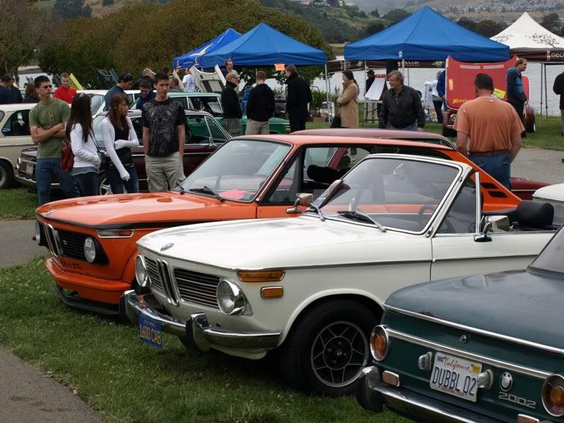 P5157375.jpg