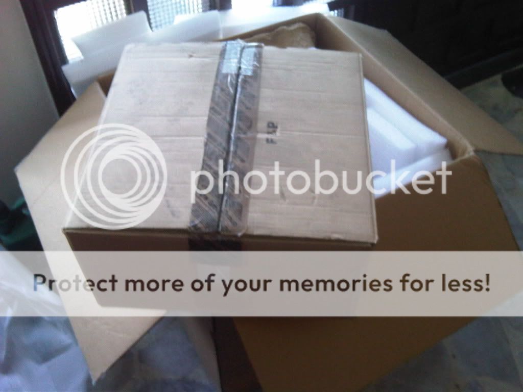 IMG00662-20110528-1526-1.jpg