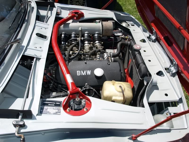 P5157626.jpg