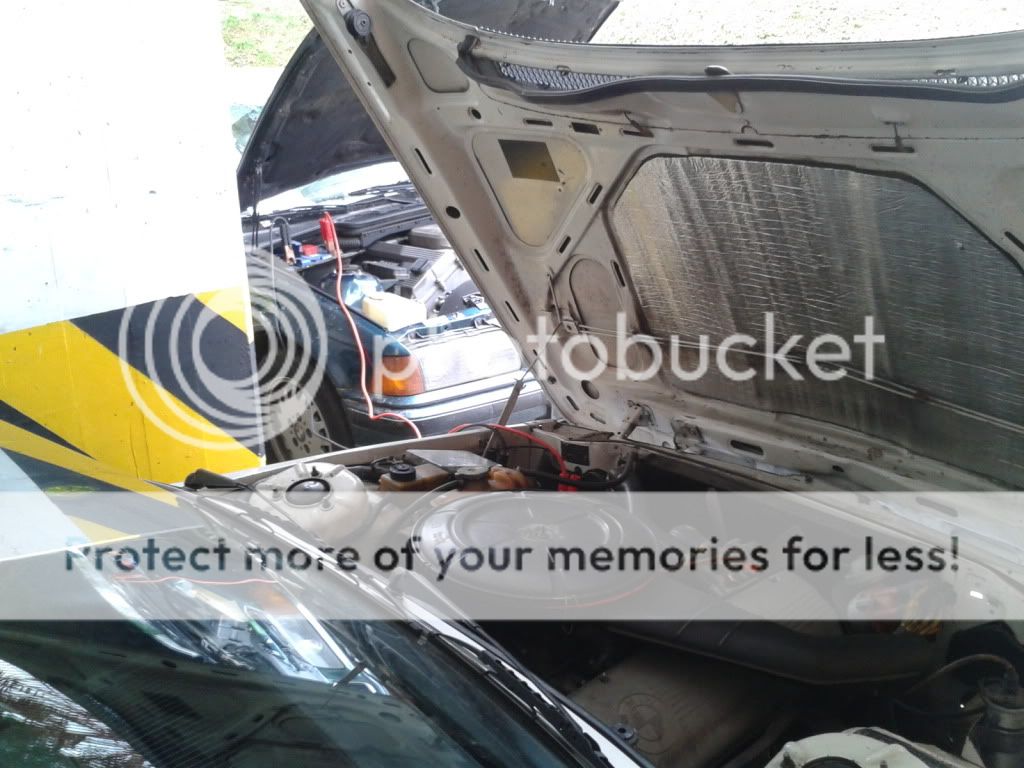 2011-11-18144418.jpg