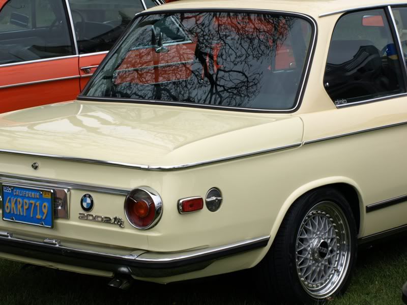 P5157444.jpg