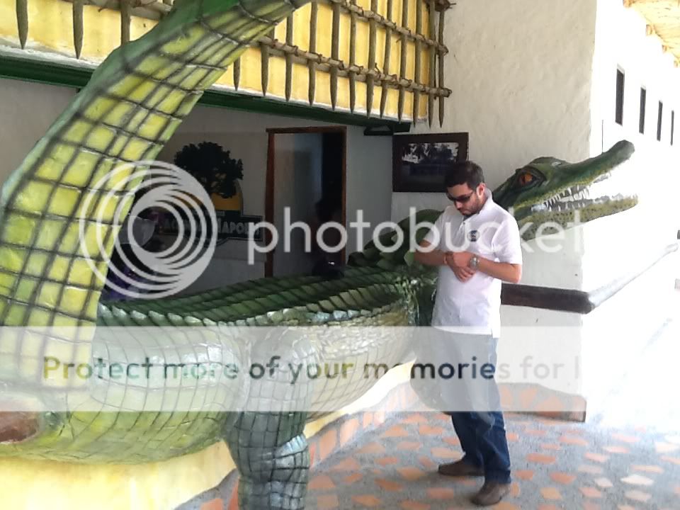 IMG_1188_zps90c600c1.jpg