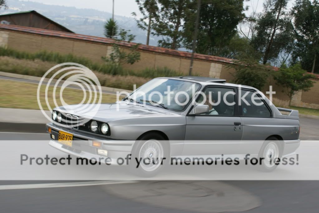 DSC06500.jpg
