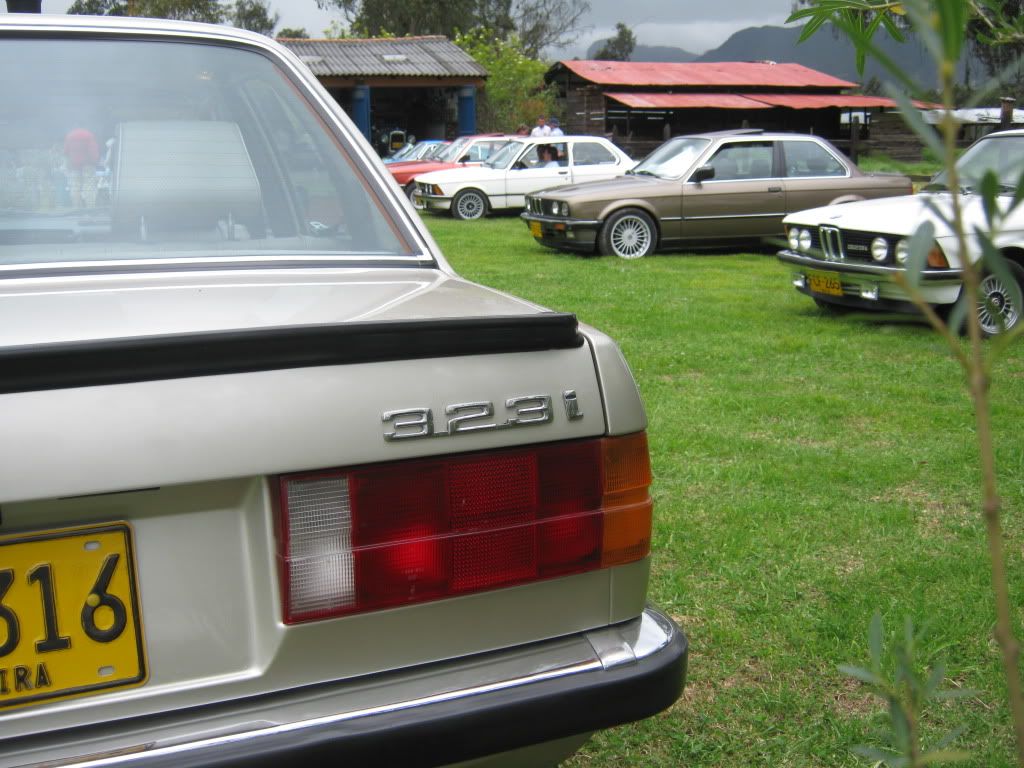 varios5105.jpg