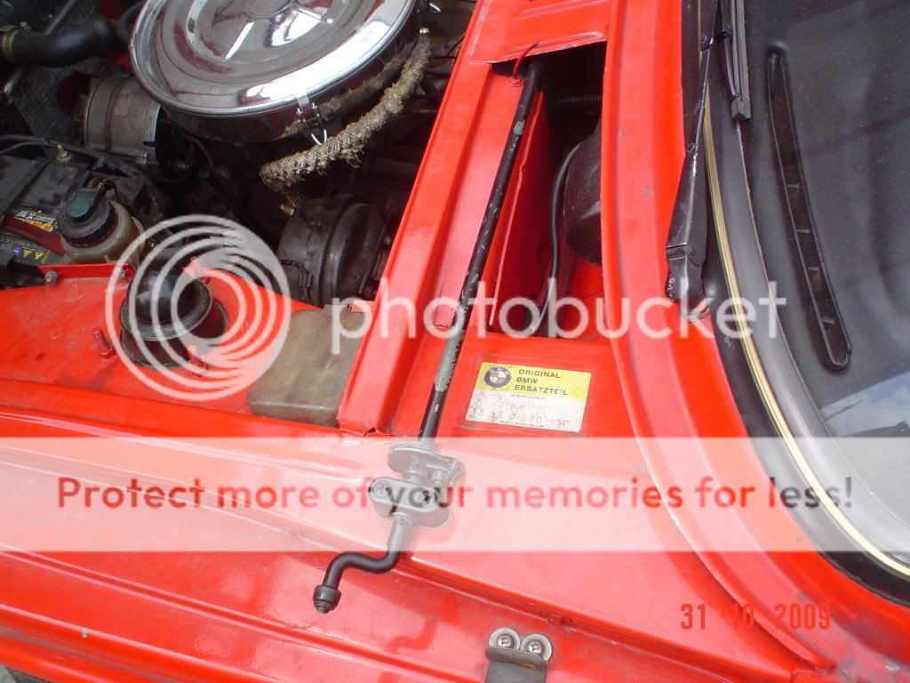 DSC06690.jpg