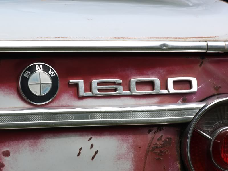 P5157521.jpg