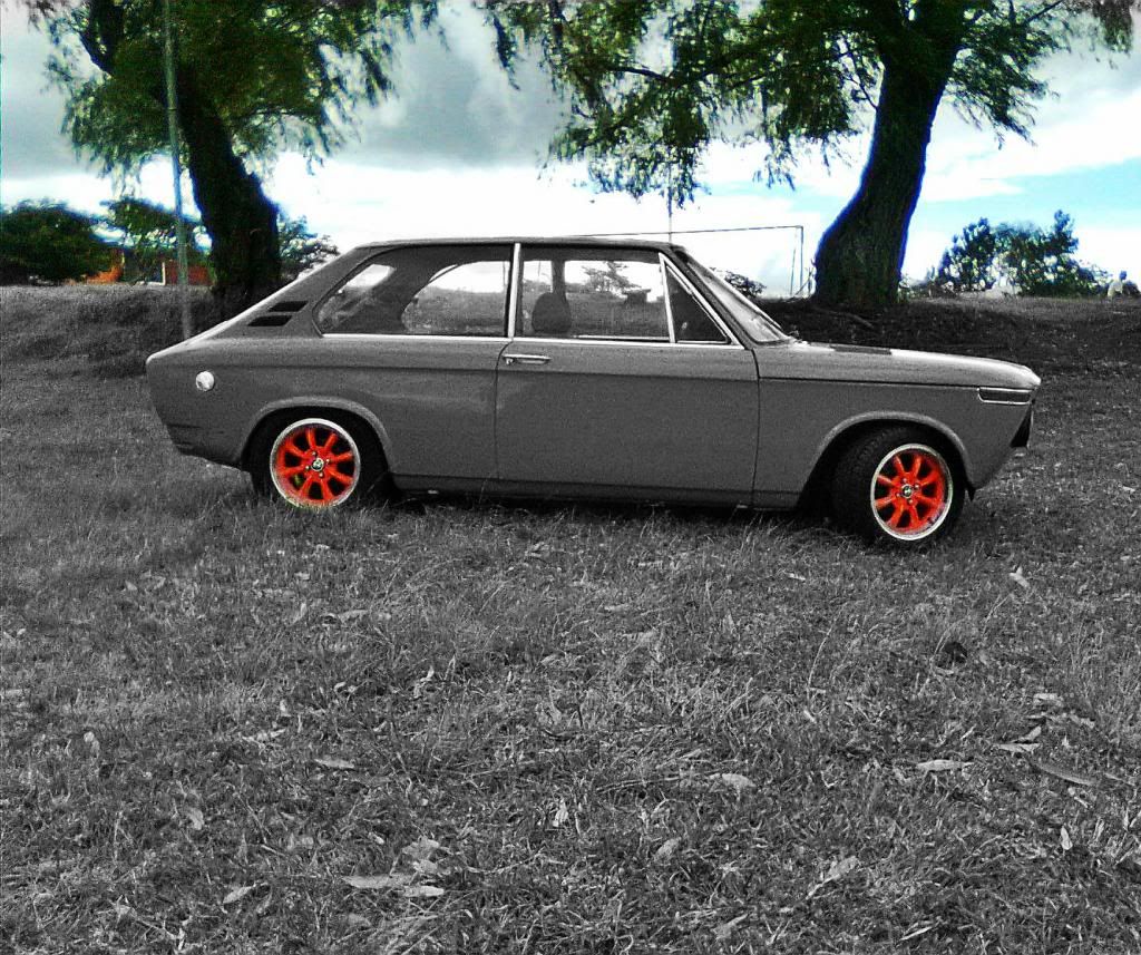 grass9_zpsde13379c.jpg