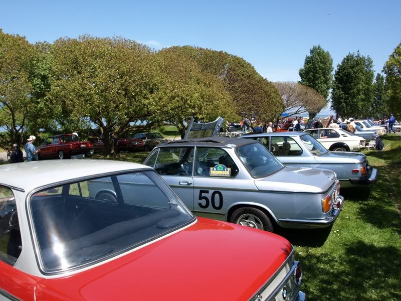 P5157600.jpg