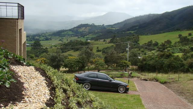 DSC02452.jpg