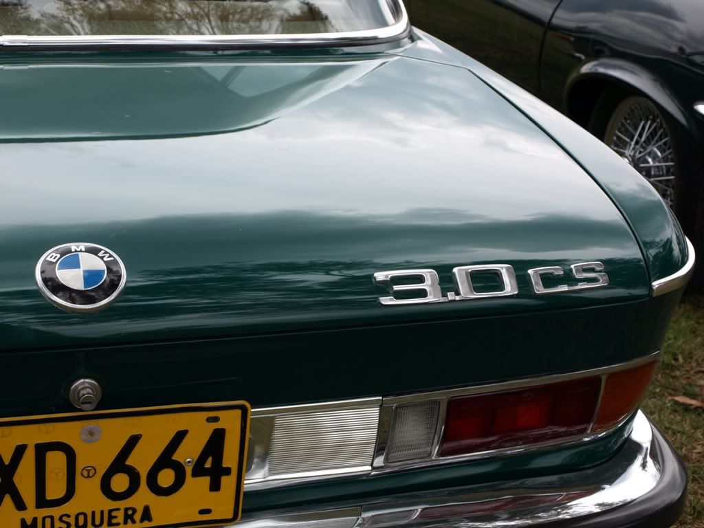 P3158953.jpg