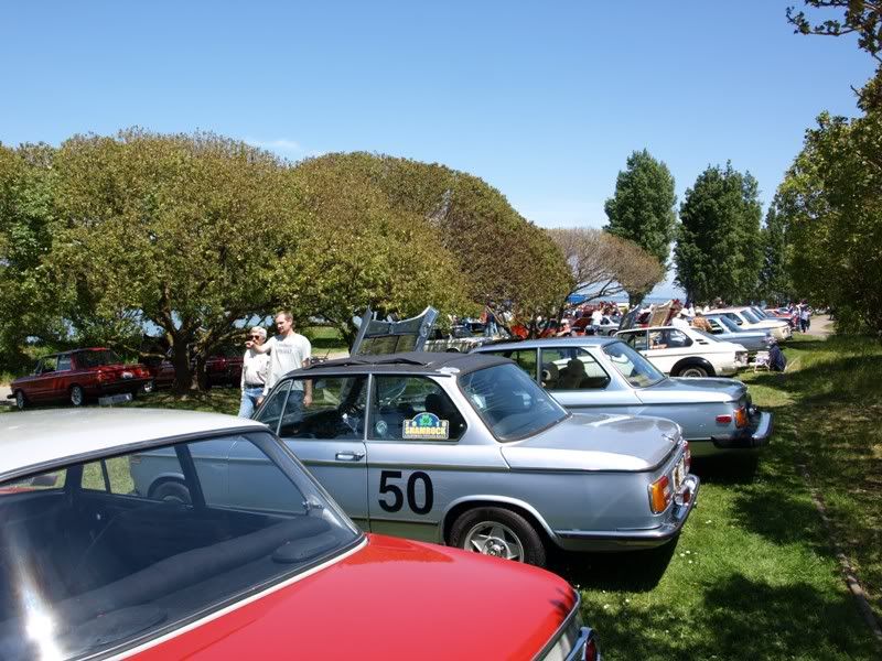 P5157597.jpg