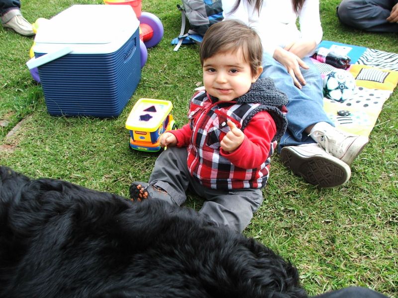 DSCF4595.jpg