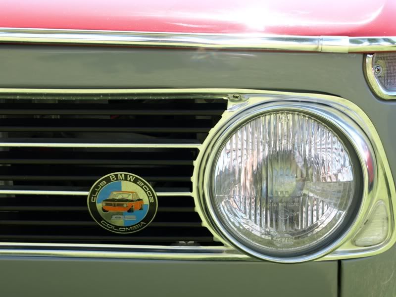 P5157589.jpg