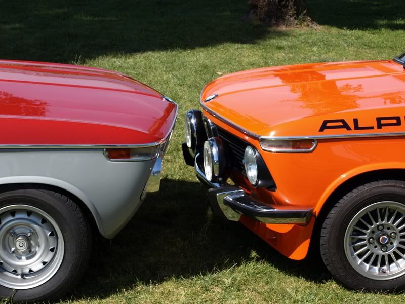 P5157676.jpg