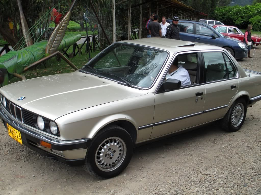 880543d0.jpg