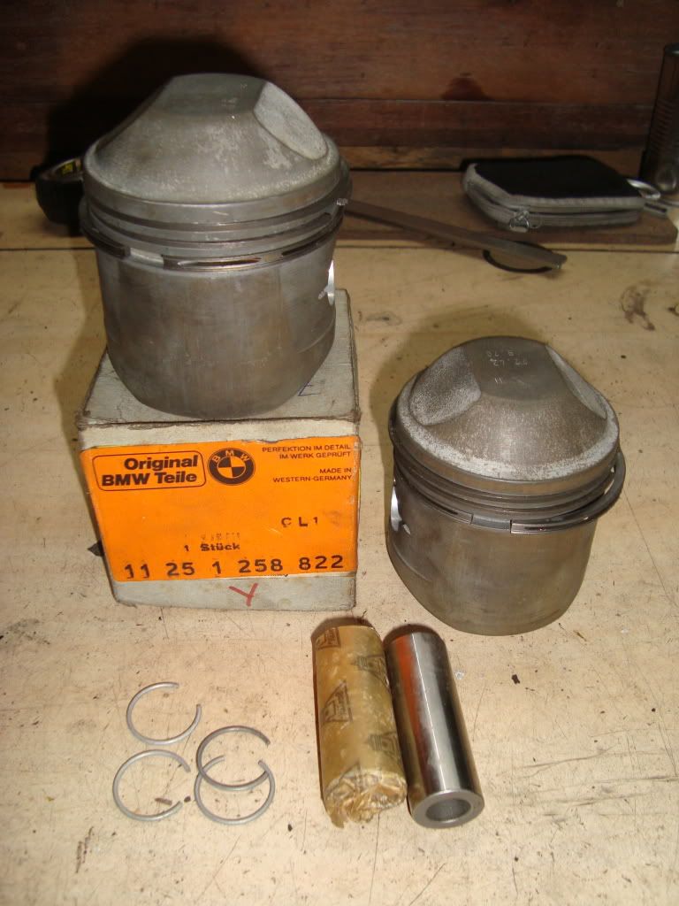 DSC01495.jpg