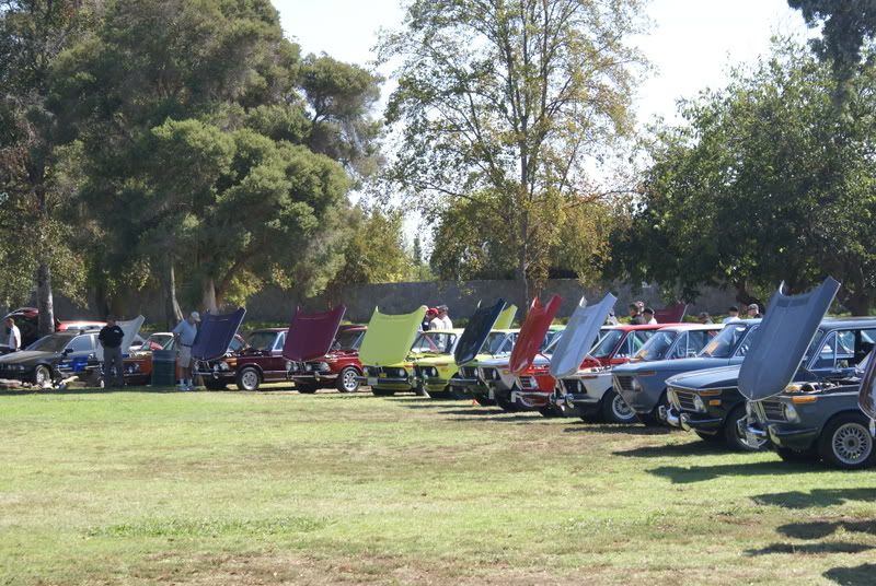 DSC02092.jpg