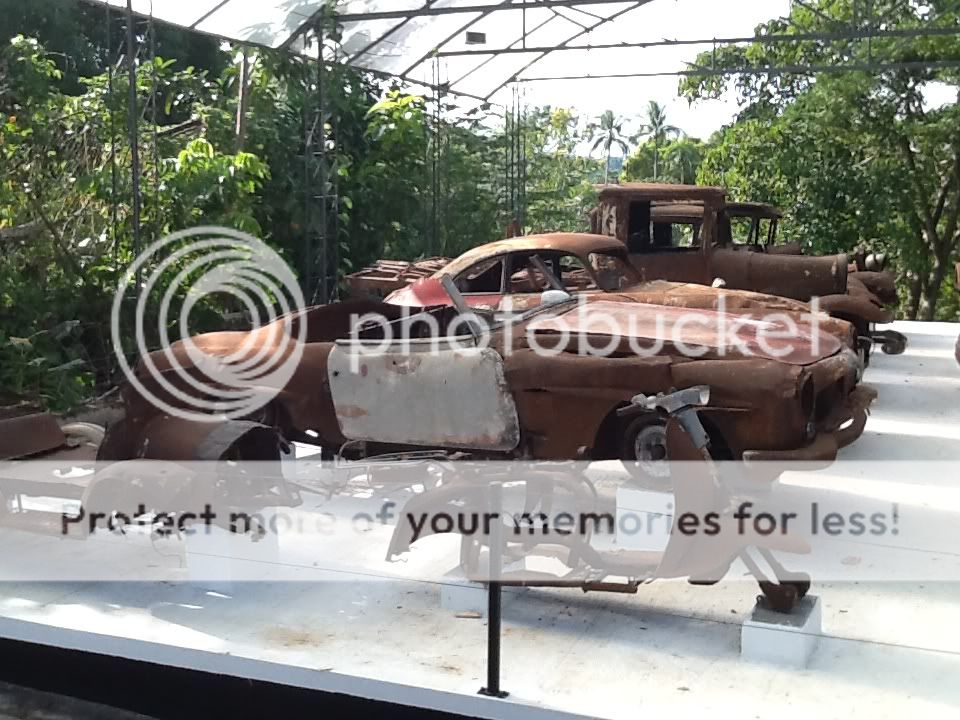 IMG_1210_zpsdcdf022b.jpg