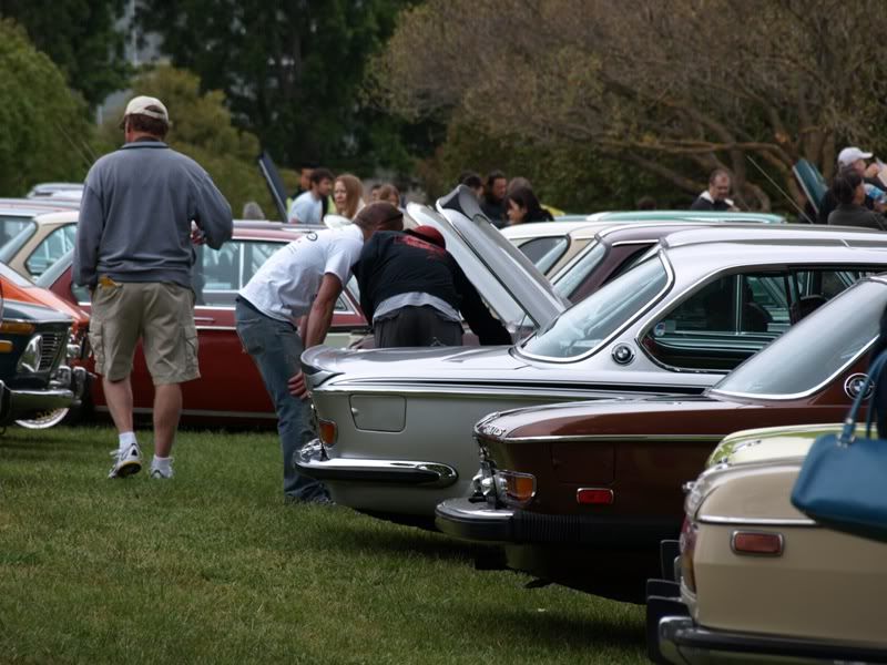 P5157323.jpg