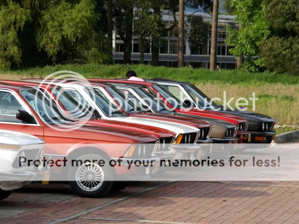 847ff99a.jpg