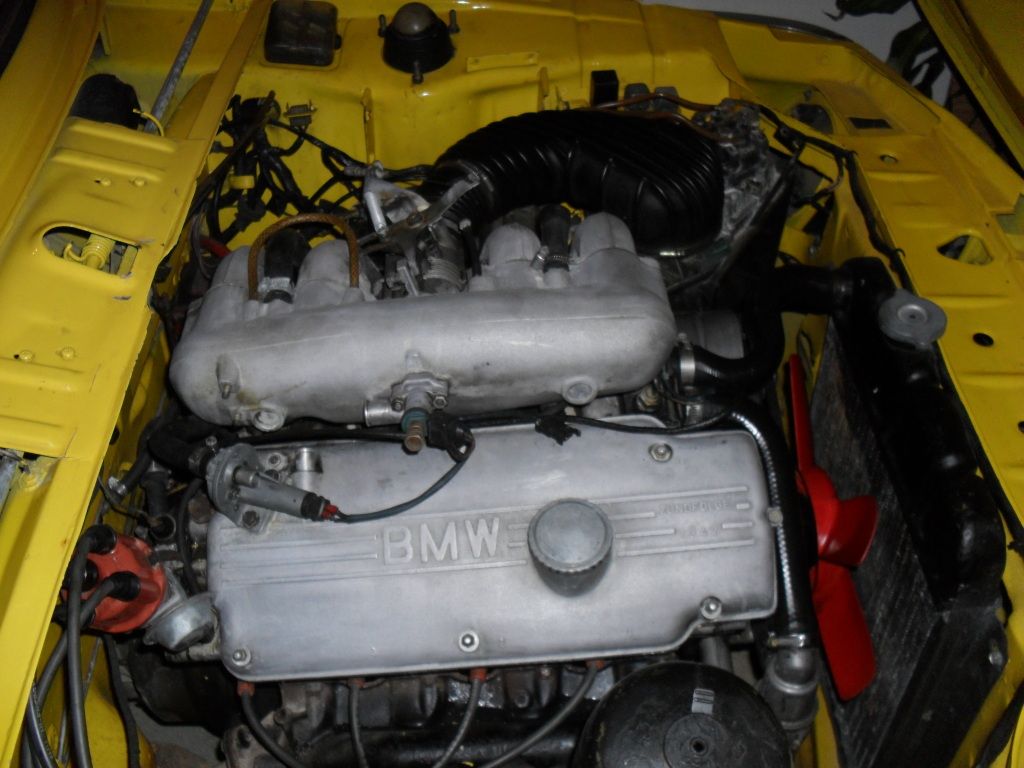SAM_2220.jpg