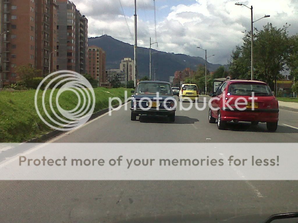 IMG00150-20110404-0924.jpg