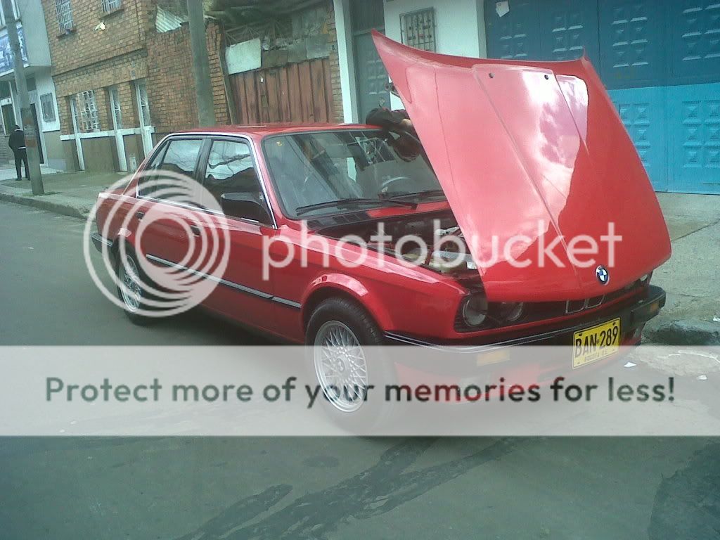 IMG00595-20111125-1219.jpg