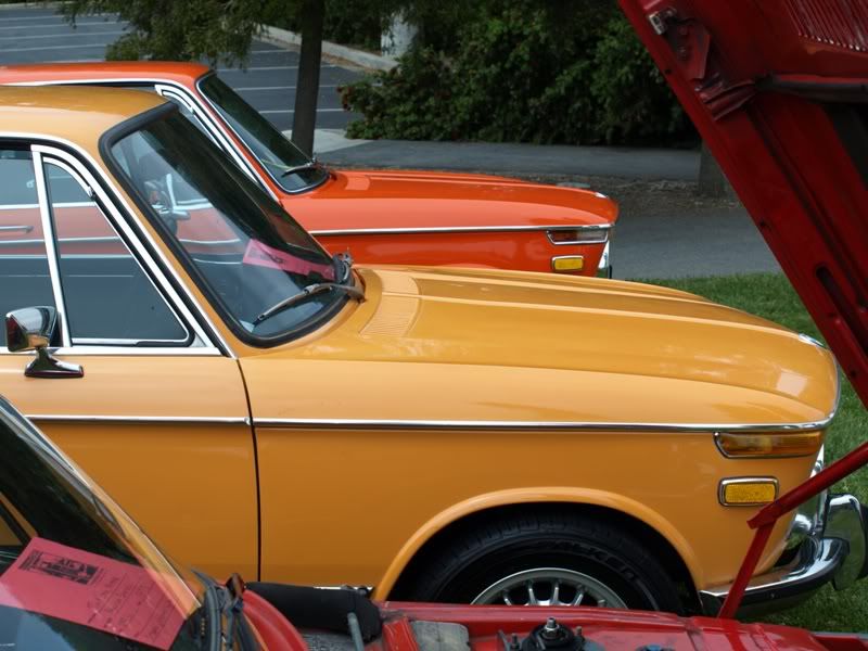 P5157484.jpg