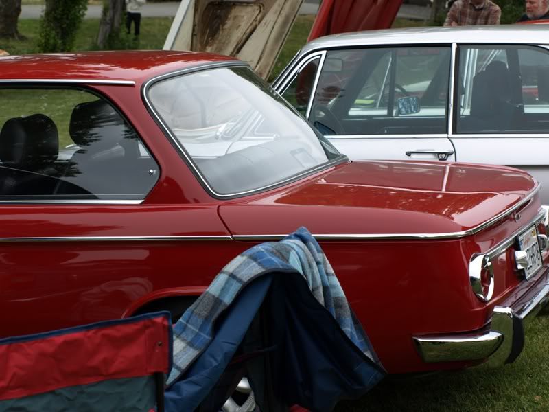 P5157373.jpg