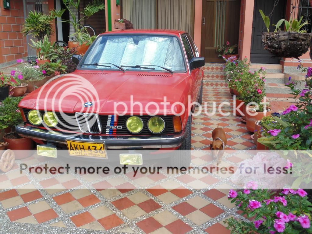 DSC00709_zpsb58b59da.jpg