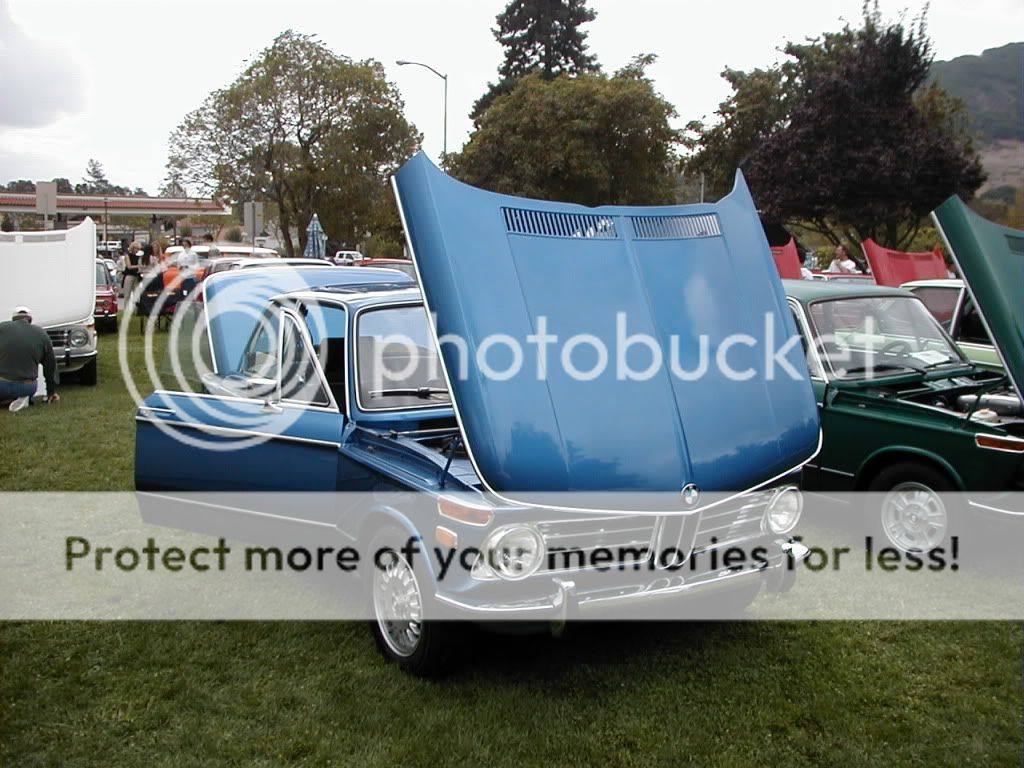 FestWest0220020.jpg